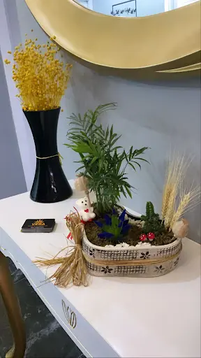 Vera Estetik&Güzellik 3