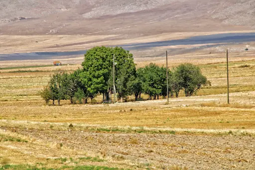 Tuzlukçu Belediyesi
