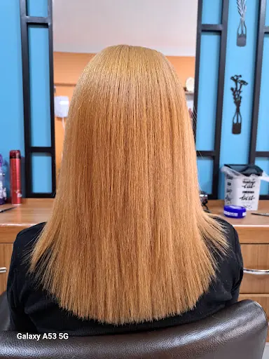 Saloon Didem 2