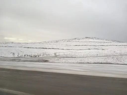 Polis Hatıra Ormanı