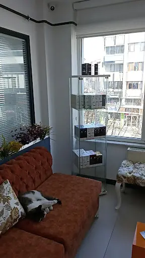 Bolu Blue Diamond Güzellik Merkezi 2