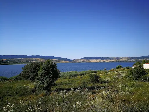 Yeniçağa