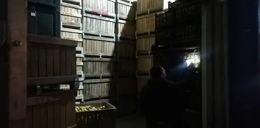 Geltaş Anonim Şirket Soğuk Hava Tesisleri 3