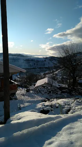 Hacılar Köyü Muhtarlığı 2