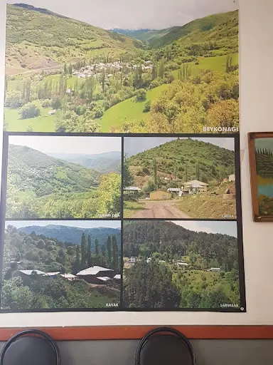 Sivas İli Hafik İlçesi Beykonağı Köyü Kültür Ve Yardımlaşma Derneği