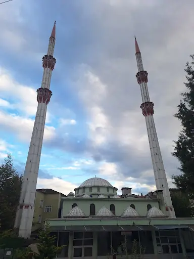 Asarcik Yeni Camii 2