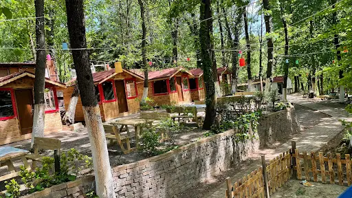Hanımeli Mesire Alanı (Ömerli Park Orman ) – Diğer (Güzellik), İstanbul (4. fotoğraf)