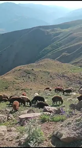 Bingöl ili Karlıova ilçesi Yukarı yağmurlu köyü derneği 3