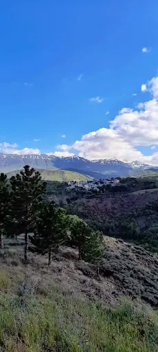 Koyulhisar Belediyesi 5