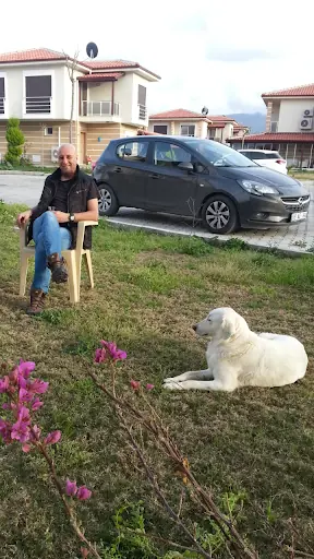 Kuaför Gürkan 3