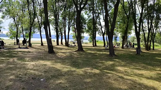 Yeniçağa Gölü Kuş Cenneti