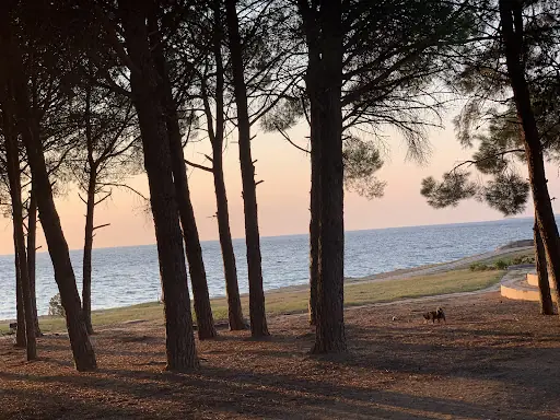 Gelibolu Milli Parkı Kabatepe Dinlenme Merkezi 3