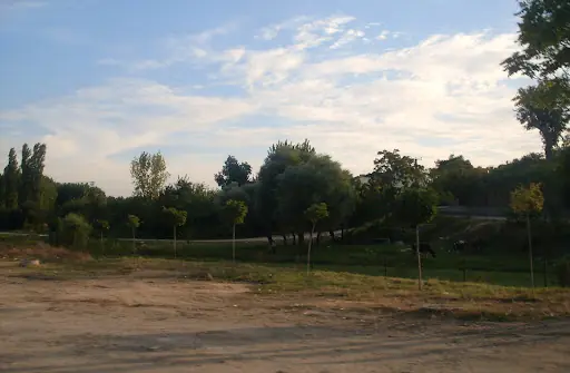 Süloğlu Belediyesi 2