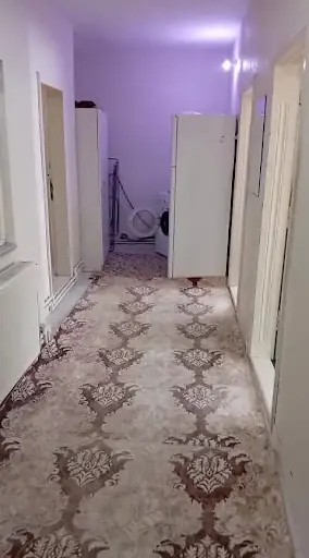 Harmancık Arı Apart 3