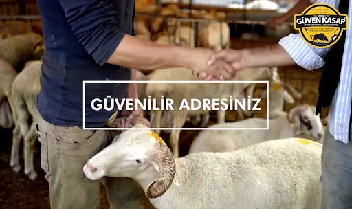 GÜVEN KASAP ET ÜRÜNLERİ TOPTAN VE PAREKENDE SATIŞ ETMANGAL 3