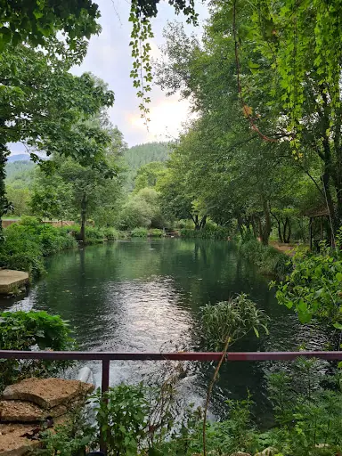 taşköprü alabalık