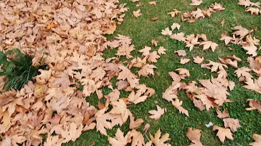 Kocapınar Parkı 4