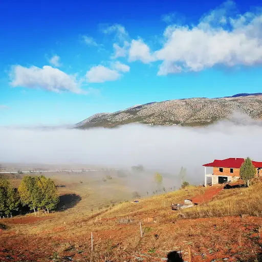YİĞİT Flora