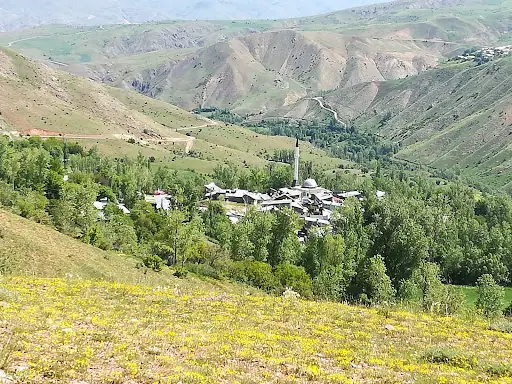 Yiğitbaşı Köyü Cami 5
