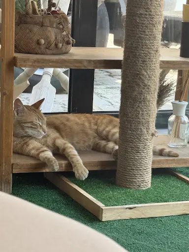 Doctor Nagihan Özkorkmaz Gençlik Ve Terapi Merkezi Tekirdağ 2