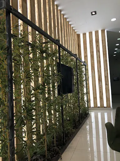 Özel Haliç Panorama Ağız ve Diş Sağlığı Polikliniği – Diğer (Güzellik), İstanbul