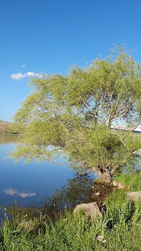 Köyceğiz Mesire Yeri 4