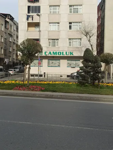 Çamoluk İnşaat 2