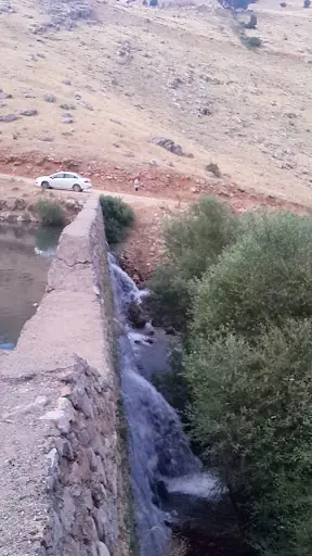 Hatıra Ormanı 3