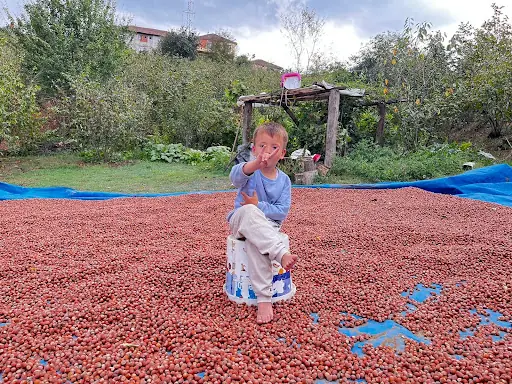 Yığılca Toplum Sağlığı Merkezi 3
