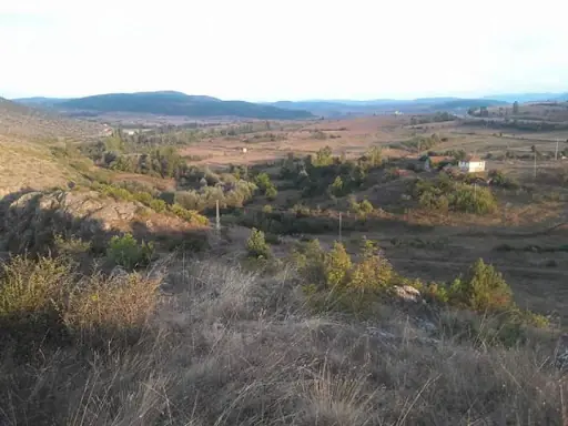 Aslanlar 3