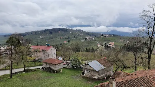 Şeyh Abdullah HZ. Türbesi 5