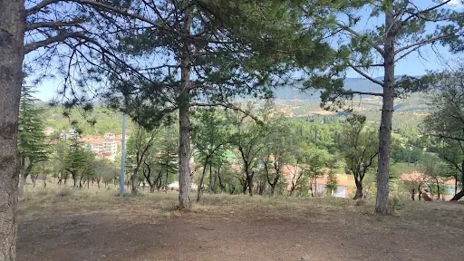 Bademlik Piknik Alanı 2