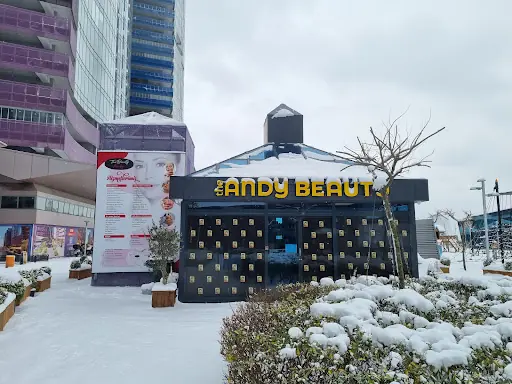 The Andy Beauty