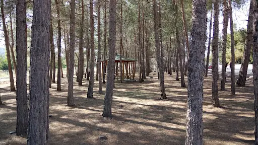 Barutlusu Havuzlu Park 5