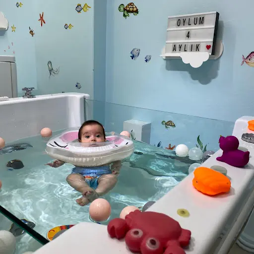 Dolphins Baby Spa