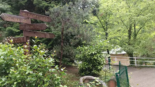 İnhalasyon Kürü 3