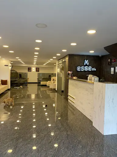 Esse Vip Mezitli Güzellik Merkezi 2