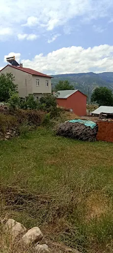 Sivas Koyulhisar Çayli Köyü Derneği 3