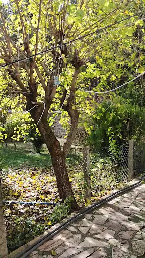 Tarihi Babas Kaplıcası 3