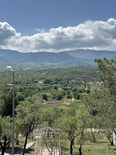 Bademlik Piknik Alanı 4