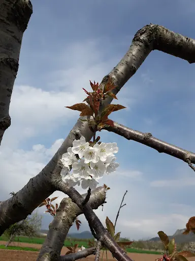 Savaş Dönmez Parkı