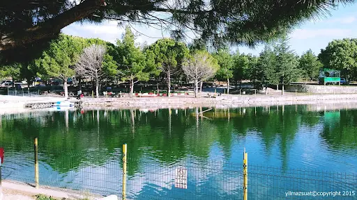 Sivaslı