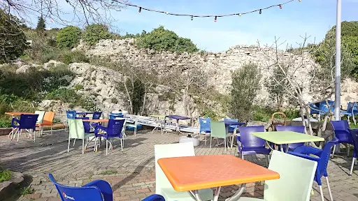 Ağlayan Ağaç Cafe 3