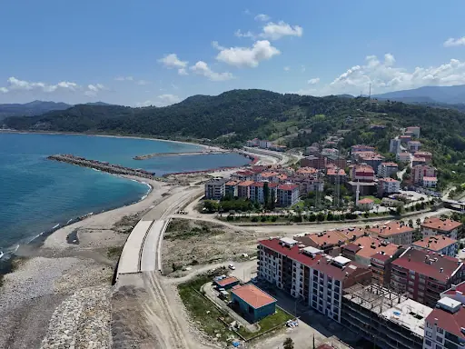 Türkeli Sahilgülü