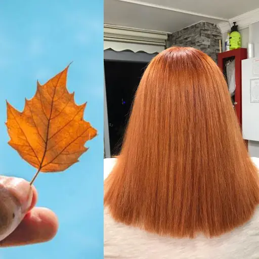 Meda Kuaför