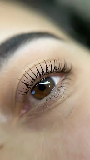 Yaprak eren beauty stüdo