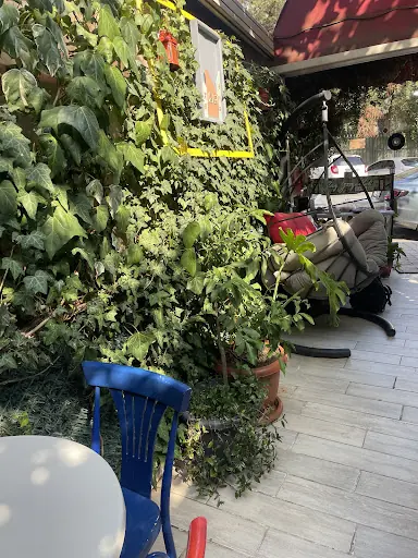 Naz guzellik salonu & Kitap cafe – Gelin Kuaförü, İstanbul (4. fotoğraf)