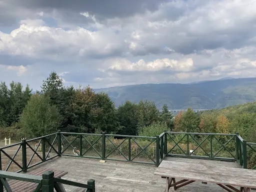 Kaynaşlı Gırgın Çayırı Mesire ve Piknik Alanı 4