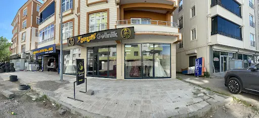 Ayşegül gelinlik Erciş
