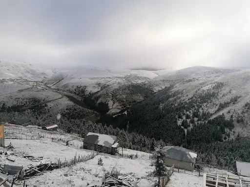 Dalıp Obası / Yağlıdere 2